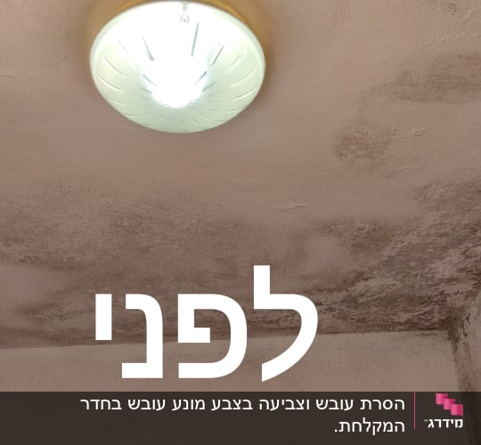 תקרה עם כתמי עובש לפני צביעה